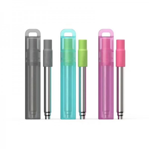 Stainless Steel Telescopic Straw